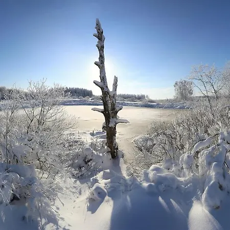 Σπίτι διακοπών Le Bonheur De La Cascade 24 Pers - Malmedy, Wellness, Jardin, Confort *