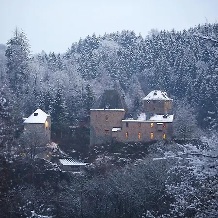 Le Bonheur De La Cascade 24 Pers - Malmedy, Wellness, Jardin, Confort Vakantiehuis